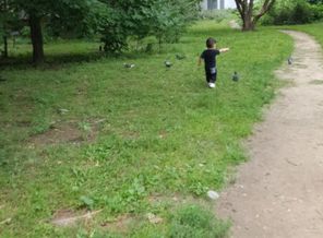 IMG_20160719_071818