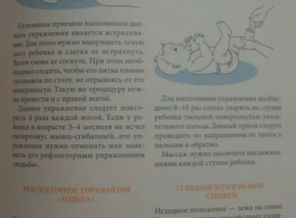 IMAG0523