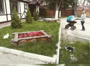 IMG_20150730_214439