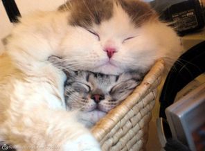 porady_otp2
