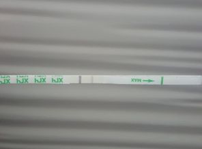 IMG-20160425-WA0014