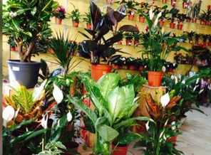 IMG_20160424_140205