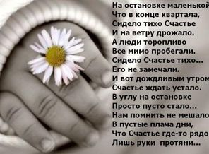 IMG-20170204-WA0014