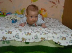 IMG_20160412_113253