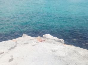 IMG_20160817_124025.jpg