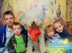 183850_132_52_DSC_9231