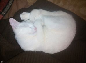 IMG_20161031_215448.jpg