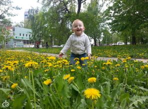 20160508_133953