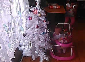 IMG_20161130_103544_1.jpg