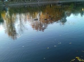 20161001_171903