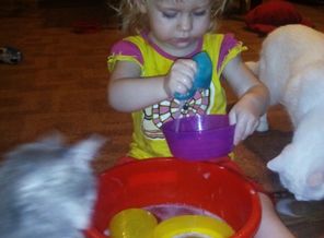 IMG_20150312_201138