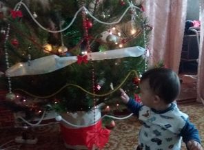 IMG_20161224_215100_530