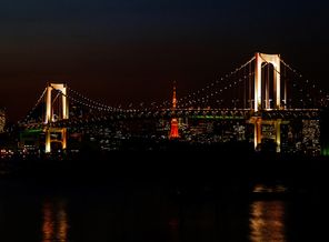 6. Bridge