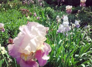 IMG_20160524_202610