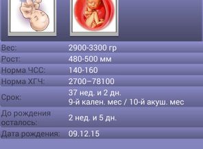 Screenshot_2015-11-20-15-24-09