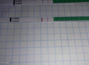 IMG_20170126_100709