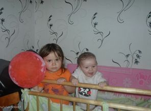 SAM_0981