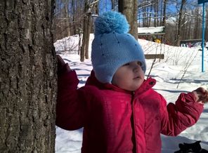 IMG-20160320-WA0004