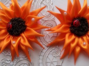 IMG_20161009_100749