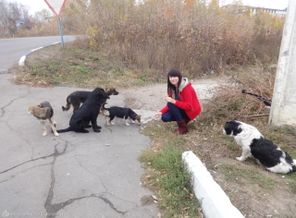 давн (83)