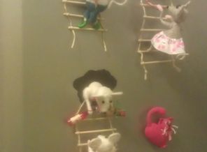 IMAG0253.jpg