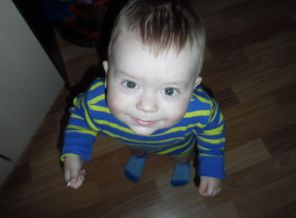 SAM_1147