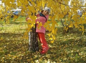 Золотая осень