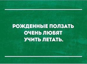 IMG_20151222_104227_9