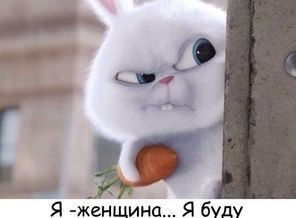 IMG_20160531_144558_11