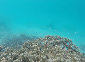 IMG-20161114-WA0003