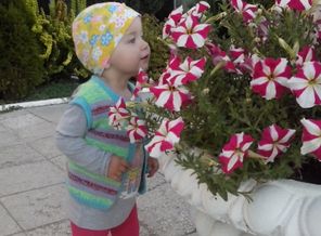 Любуемся цветочками)