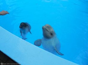 DSCN0147