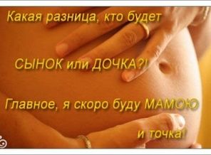 edfe82a02bd2a742b244d82993c72608