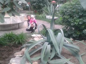 20160501_132231