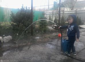 не полил,а залил на даче не только клумбы,но и весь двор