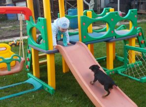 IMG_20160404_174656