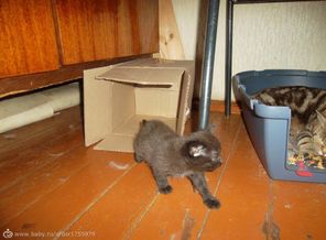 IMG_20150923_153723_13