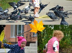Красивая и счастливая осень ...