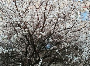 IMG_20160418_214547