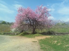 20160308_143637