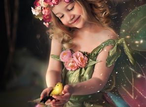 photo-11web