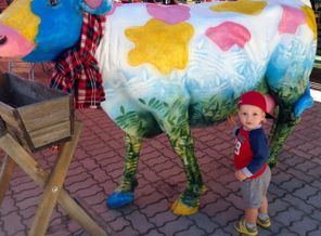 Чудо корова☺️🐮