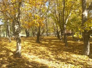 20151027_111644