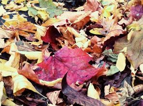 P_20150928_160912_1