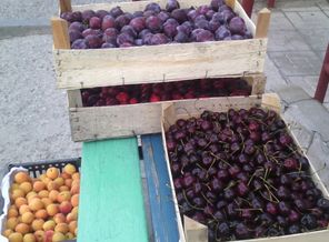 IMG_201608220_0456