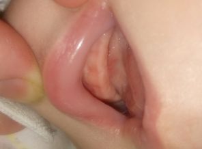 DSC_1154