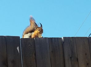20160514_130616