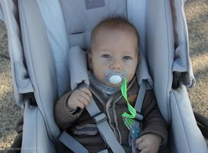 IMG_1626