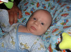 SAM_0349.JPG