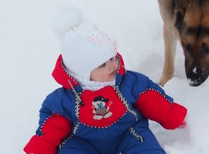 Готовимся к зиме
